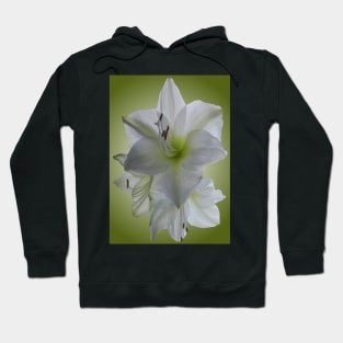 Amaryllis Hoodie